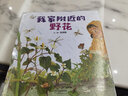 我家附近的野花（親近自然繪本 4冊） 首屆臺灣綠芽獎得主，臺灣人氣圖畫(huà)書(shū)作家陳麗雅作品！ 曬單實(shí)拍圖