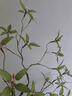 掬涵仿真綠植藤蔓石榴枝新中式客廳裝飾插花仿生植物高端仿真花藝紅音 高端仿真石榴枝（1支） 無(wú)規格 曬單實(shí)拍圖
