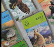 新華書(shū)店正版 沈石溪品藏書(shū)系動(dòng)物小說(shuō)全集36冊禮盒裝新老版本隨機 狼王夢(mèng)沈石溪的書(shū)全套系列第七條獵狗 雪豹悲歌 海豚之歌9-10-12-15歲兒童文學(xué) 學(xué)生課外書(shū) 【全40冊】沈石溪動(dòng)物小說(shuō)禮盒裝 曬單實(shí)拍圖