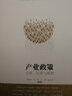產(chǎn)業(yè)政策 總結(jié)、反思與展望 曬單實(shí)拍圖