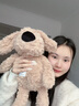 捉趣坐姿丹尼狗狗毛絨玩具公仔超軟小狗抱枕可愛(ài)軟萌娃娃女生生日禮物 大鼻子丹尼狗狗 坐高30cm 曬單實(shí)拍圖
