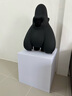 IFSPEAKER DAVID大衛(wèi)猿音響家用無線藍(lán)牙音箱高保真HIFI低音炮 啞光黑-大猩猩音箱 曬單實(shí)拍圖