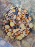 倉鼠糧五谷糧主食自配袋裝湖鮮果蔬金絲熊營養(yǎng)飼料花枝鼠食物零食 五谷糧400克【袋裝】 曬單實拍圖