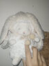 海湾兔bunnies by the bay小羊公仔玩偶娃娃毛绒玩具情人节女孩生日礼物 C3米色兔耳朵披风套装（含羊） 海湾兔 实拍图