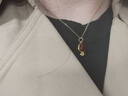 中國(guó)黃金（CHINA GOLD）蛇本命年黃金項(xiàng)鏈女足金生肖紅瑪瑙吊墜七夕情人節(jié)禮物送女朋友 足金紅瑪瑙蛇吊墜【贈(zèng)銀鏈】【紀(jì)念品】 曬單實(shí)拍圖