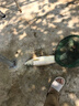 博菲特日本原絲虞美人500米魚線主線海竿線遠投拋磯線尼龍線釣魚線子線 【500米/盤】透明色 2.0號 曬單實拍圖
