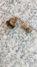 旺浦商貿綠茶種子早茶樹(shù)種籽茶葉種茶樹(shù)籽碧螺春龍井鐵觀(guān)音綠茶籽茶花種子 早茶種子一斤 曬單實(shí)拍圖