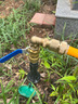 奔新農園林快速取水器取水閥6分1寸小區戶(hù)外草坪地插水管接頭桿取水桿 90度銅彎頭6分取水桿(帶閥門(mén)) 曬單實(shí)拍圖