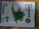 京農(nóng)研農(nóng)科院蔬菜種子大葉香菜四季小蔥雞毛菜紅莧菜芝麻菜空心菜種籽孑 越冬尖葉菠菜 10克 曬單實拍圖