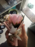 東之天地仿真小花束迷你玫瑰花永生花向日葵康乃馨送女友同學(xué)節日生日禮物 玫瑰仿真小花束【隨機1束】 曬單實(shí)拍圖