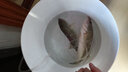 釣之屋（TSURINOYA）HE50系列微物泛用水滴輪遠投路亞輪高速比順滑漁輪 50型微物水滴輪（左手） 曬單實拍圖