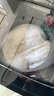 PAKER派克派克（PAKER）德國50/60公斤洗衣機(jī)全自動(dòng)大容量工業(yè)家用商用賓館酒店醫(yī)院民宿20/30/40/70kg風(fēng)干 20KG歐式新款+商用家用耐用+加厚升級(jí)高端款 曬單實(shí)拍圖