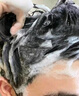 UIJO胖東來(lái)控油蓬松洗發(fā)水持久留香柔順去屑止癢男女金榜第1洗頭膏露  曬單實(shí)拍圖