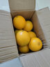 拾橙 江西贛南臍橙贛州橙子贛州橙子安遠尋烏信豐臍橙 大果凈重9斤 曬單實(shí)拍圖
