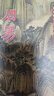 國學(xué)中華經(jīng)典誦讀系列 全十冊(cè) 進(jìn)口港版 古籍書局 三字經(jīng)百家姓千字文弟子規(guī)大學(xué)中庸論語孟子道德經(jīng)了凡四訓(xùn)聲律啟蒙笠翁對(duì)韻周易幼學(xué)瓊林 傳統(tǒng)文化書籍 曬單實(shí)拍圖