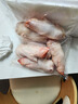 十里饞新鮮豬蹄冷凍豬腳豬前蹄豬爪子短豬蹄帶筋豬蹄燒烤家用豬手黑豬 6只整個(gè)帶筋豬蹄 24小時(shí)發(fā)貨 曬單實(shí)拍圖