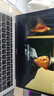95新 蘋(píng)果 Apple MacBook Air13寸二手筆記本電腦 網(wǎng)課學(xué)習 商務(wù)辦公 輕薄便攜 20款H42銀  i5 十代四核 8G 曬單實(shí)拍圖