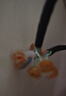 萬級（WANJEED） 網(wǎng)線接線端子 工程專用電話線網(wǎng)線水晶頭k2/K1接線子 優(yōu)質(zhì)環(huán)保無損延長連接器 【雙刀雙線】K2接線端子/20個 曬單實拍圖