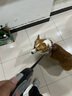 貞嘻狗繩牽引繩小中型犬自動(dòng)伸縮遛狗牽引繩狗鏈遛狗繩寵物繩遛狗神器 黑灰自動(dòng)牽引繩【5米】 曬單實(shí)拍圖