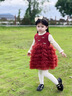 班喜迪女童連衣裙秋裝新款洋氣兒童公主裙周歲禮服秋冬季女寶寶網(wǎng)紗裙子 紅色 90 曬單實(shí)拍圖