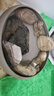 瘋狂水草魚(yú)缸造景石頭鵝卵石裝飾溪流石千層松皮石青龍石假山烏龜曬臺擺件 千層石 約4斤 （5-8cm） 曬單實(shí)拍圖