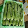 格沃斯云南農家自種甜脆油麥高原綠色蔬菜時(shí)令火鍋青菜當季生菜新鮮整箱 4斤（3.8-4.2斤）精選裝出口品質(zhì) 曬單實(shí)拍圖