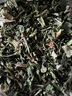 承真堂 脫水香菜干泡面提味干貨莚荽菜方便面調料蔬菜包農家自制干香菜 【香菜干】 【4罐】【1000g】 曬單實(shí)拍圖