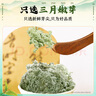 南同九坊南京同仁堂 茵陳三月嫩芽綿中泡酒藥泡水材新鮮茵陳蒿艾草葉100g 曬單實(shí)拍圖