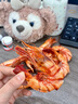 迪家貓九節(jié)蝦干特大蝦干即食干蝦對蝦干超大烤蝦海產(chǎn)干貨風(fēng)干烤蝦大干蝦 250.03g（超大18-22只-發(fā)順豐） 曬單實(shí)拍圖
