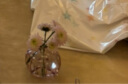 京东鲜花 迷你花瓶3件套玻璃透明复古桌面摆件插花瓶ins水培养假花装饰瓶 实拍图