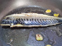 青花魚(yú)片新鮮挪威進(jìn)口日式冷凍整條大鮐鲅鯖魚(yú)烤青占魚(yú)商用青花魚(yú) 特大片200-250g/片 4-5片=1000g 曬單實(shí)拍圖