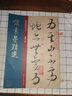 懷素墨跡選 唐代 草書(shū) 成人字帖 經(jīng)典碑帖放大本 曬單實(shí)拍圖