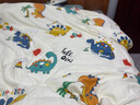 貝樂(lè )堡兒童睡袋寶寶防踢被子可脫膽中大童秋冬加厚嬰兒四季通用信封睡袋 hello恐龍【恒溫棉芯】 150*200cm(一薄一厚) 曬單實(shí)拍圖