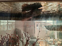 馬印銀龍魚(yú)活體大中型熱帶觀(guān)賞魚(yú)魚(yú)缸寵物淡水風(fēng)水魚(yú)發(fā)財魚(yú)金龍魚(yú) 純血七彩銀龍魚(yú)22-24cm 2條  一公一母 曬單實(shí)拍圖