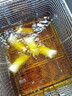 樂創(chuàng)（lecon）電炸爐商用油炸鍋油炸爐 油水分離油炸鍋 單缸大容量小吃炸串炸雞炸薯?xiàng)l炸油條機(jī) 定時(shí)款26+26L-雙缸立式(深缸款)【大禮包】 曬單實(shí)拍圖