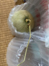 四海上品山東玉菇甜瓜當(dāng)季時令水果蜜瓜香瓜冰淇淋甜瓜香甜可口產(chǎn)地直發(fā) 玉菇甜瓜5斤裝 凈重4.5斤約1-3個 曬單實拍圖