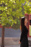 圣保美赫本风黑色长袖连衣裙女春季女装2024新款秋款修身v领显瘦长裙子 黑色 XL码 晒单实拍图