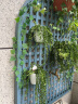欧林泽 绿萝植物壁挂花盆 自动吸水墙壁挂式 免浇水 仿陶瓷家居创意挂件 阳台厨房挂式个性懒人盆 小号/直径11X高11厘米 实拍图