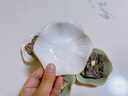 青木尚瓷 創(chuàng)意日式蘸醬碟 油碟味碟小菜碟 荷葉醬料碟花瓣陶瓷骨碟盤不規(guī)則盤子冷菜盤醋碟醬油碟窯變單個 四個裝每種一個 曬單實拍圖