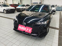 暢益（CYXSH）19-25亞洲龍中網(wǎng)國(guó)內(nèi)蜂窩前臉亮黑運(yùn)動(dòng)版改裝配件 亞洲龍美版中網(wǎng) 亞洲龍19-21年美版中網(wǎng)(不包安裝 曬單實(shí)拍圖