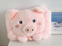 梅派熱水袋充電式防爆暖寶寶暖水袋注水女毛絨可愛(ài)暖手寶2026新款ZP 立體萌粉豬【智能防爆-可拆洗】 曬單實(shí)拍圖