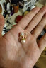 meluxe美奈 繁花 18K金akoya海水珍珠耳飾K金耳扣耳環(huán)  生日禮物送老婆 8.5-9mm 曬單實(shí)拍圖
