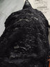 彼愛詩2件裝-百搭新款假領子女士春秋高彈力蕾絲套頭打底背心裝飾花領子 2件裝-白色+黑色-M碼-(70-90斤) 曬單實拍圖