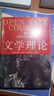 【4冊套裝】文學理論經(jīng)典4冊 文學理論耶魯大學公開課小說鑒賞文學的讀法 文學研究理論 后浪正版 曬單實拍圖