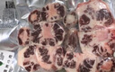 本來(lái)樣子澳洲進(jìn)口和牛牛排M9雪花牛肉烤肉片套餐 戶(hù)外燒烤火鍋食材 秋游 燒烤套餐1000g（4-5人） 曬單實(shí)拍圖