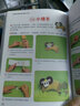 親子益智游戲 DIY手工制作教程圖書(shū)  常春藤 兒童彩泥剪紙折紙創(chuàng  )意手工大全 精致圖文版 曬單實(shí)拍圖