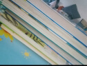 海底两万里注音版 儿童文学 世界名著（彩图注音版） 一二三年级小学生课外阅读经典丛书 小书虫阅读系列 实拍图