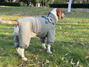 MOEPIE狗狗衣服冬季雪納瑞柴犬邊牧秋冬保暖棉衣四腳全包可牽引棉服 豆綠色 XL（推薦30-37斤） 曬單實拍圖