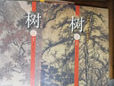 中國歷代山水畫經典范本——樹法 （上、下） 曬單實拍圖