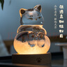 本宮好物故宮如意貓天氣瓶風(fēng)暴瓶天氣預報小夜燈畢業(yè)文創(chuàng  )女生日禮物女神節 禮盒 曬單實(shí)拍圖